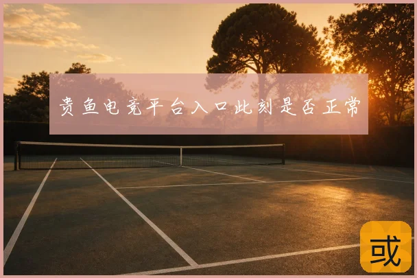 贵鱼电竞平台入口此刻是否正常