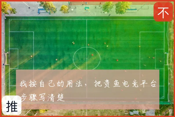 我按自己的用法，把贵鱼电竞平台步骤写清楚