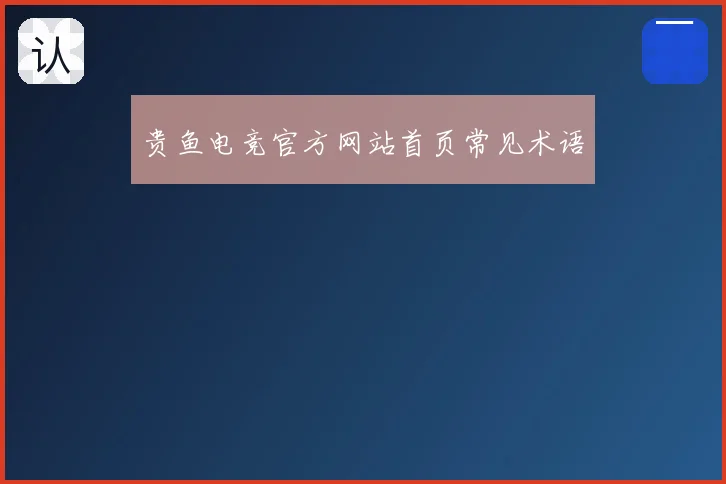 贵鱼电竞官方网站首页常见术语