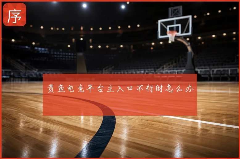 贵鱼电竞平台主入口不行时怎么办